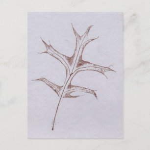 "Winter Button Oak" Landstraßen Postkarte