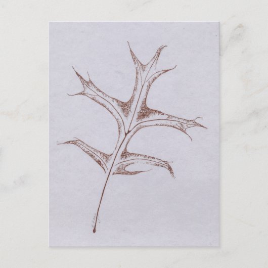 "Winter Button Oak" Landstraßen Postkarte (Vorderseite)