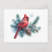 Winter Cardinal Pine and Snowflakes Postkarte (Vorderseite)