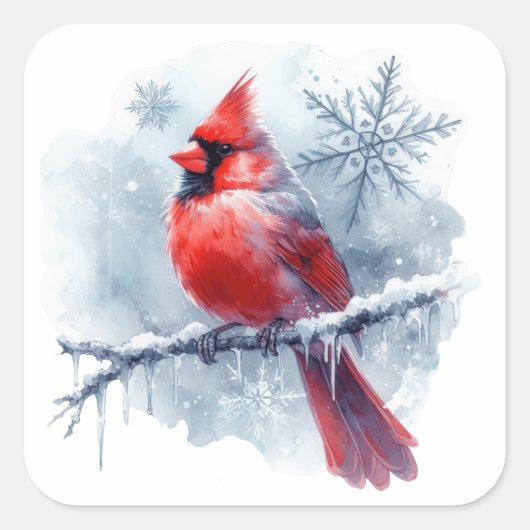 Winter Cardinal with Snowflakes on Icy Branch Quadratischer Aufkleber (Vorderseite)
