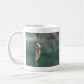 Winter Cattail Closeup Kaffeetasse (Links)