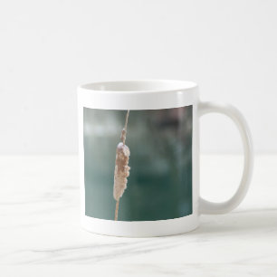 Winter Cattail Closeup Kaffeetasse