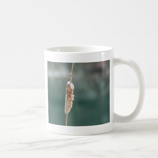 Winter Cattail Closeup Kaffeetasse (Rechts)