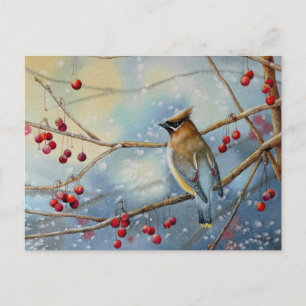 Winter Cedar Waxwing Bird & Berries Postkarte
