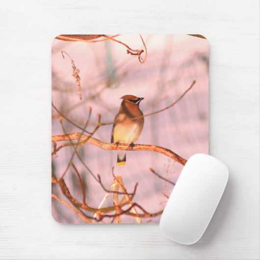 Winter Cedar Waxwing Wildlife Nature Mousepad (Mit Mouse)