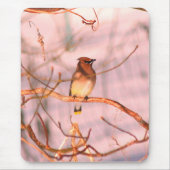 Winter Cedar Waxwing Wildlife Nature Mousepad (Vorne)