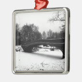 Winter Centeral Park NYC. Ornament Aus Metall (Links)