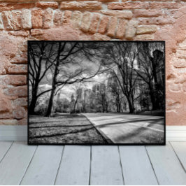 Winter Central Park New York City Black and White Poster