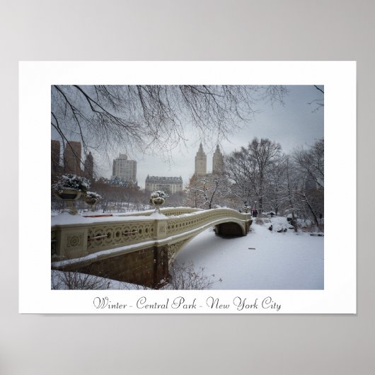 Winter - Central Park - New York City Poster (Vorne)