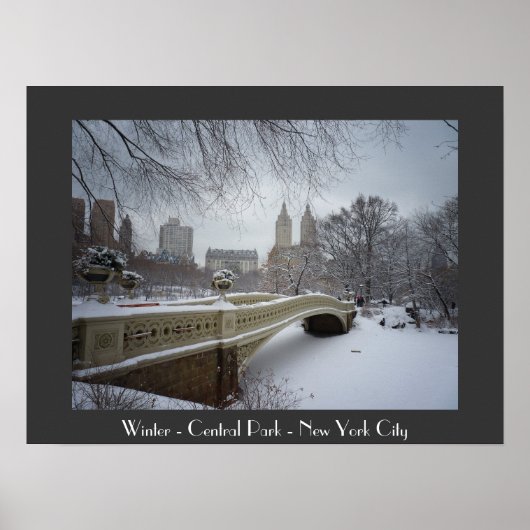 Winter - Central Park - New York City Poster (Vorne)