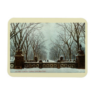 Winter Central Park NY Vintag c1910 Magnet