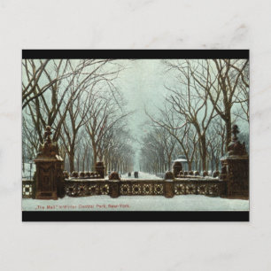 Winter Central Park NY Vintage c1910 Postkarte
