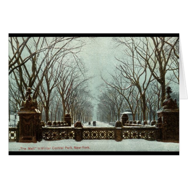 Winter Central Park NY Vintages c1910 (Vorderseite (Horizontal))