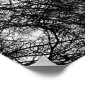 Winter Central Park, NYC Landscape Poster (Ecke)