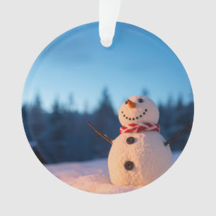Winter Cheer Schneemann-Design Ornament