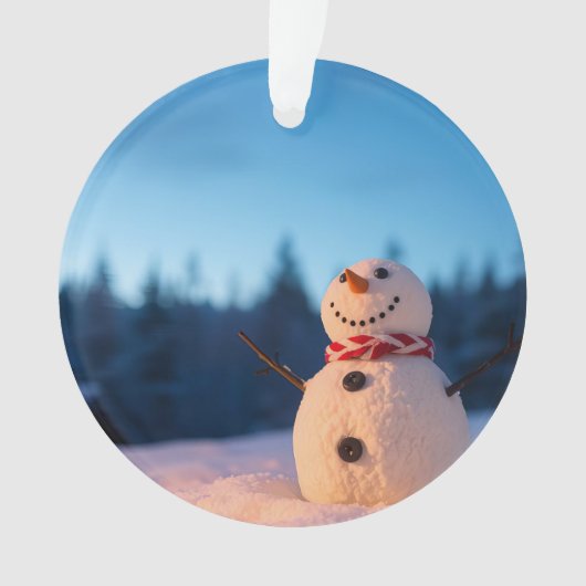Winter Cheer Schneemann-Design Ornament (Vorderseite)