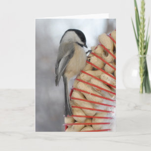Winter Chickadee Karte