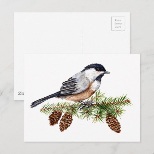 Winter Chickadee Postkarte (Vorne/Hinten)