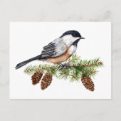 Winter Chickadee Postkarte (Vorderseite)