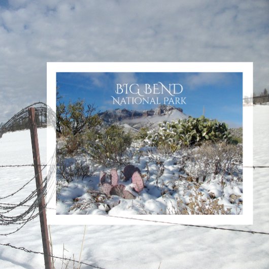 Winter, Chisos-Berge, Big Bend Nationalpark Postkarte