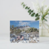 Winter, Chisos-Berge, Big Bend Nationalpark Postkarte (Stehend Vorderseite)