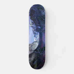 winter christmas 94 skateboard