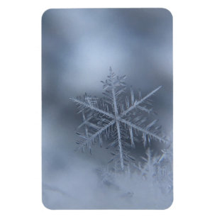 winter christmas 97 magnet