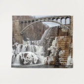 Winter, Croton-Staudamm Wandteppich (Vorderseite (Horizontal))