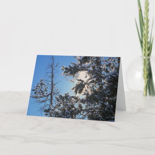 Winter Crystal Snow Holiday Card Feiertagskarte (Vorderseite)