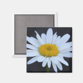 Winter Daisy Magnet (Vorderseite/Rückseite)
