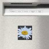 Winter Daisy Magnet (In Situ (Geschirrspüler))