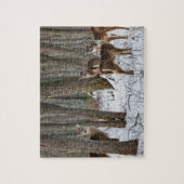 Winter Deer 10x8 herausfordernd Puzzle (Vertikal)