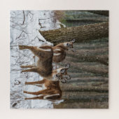 Winter Deer 20x20 herausfordernd Puzzle (Horizontal)