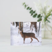 Winter Doe Postkarte (Stehend Vorderseite)