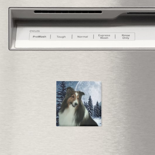 Winter Duncan Magnet (In Situ (Geschirrspüler))