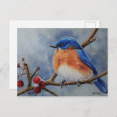 Winter Eastern Bluebird & Berries Postkarte (Vorne/Hinten)