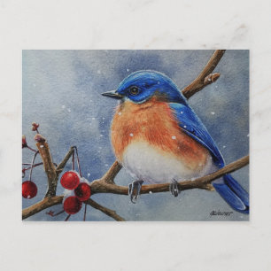 Winter Eastern Bluebird & Berries Postkarte