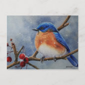 Winter Eastern Bluebird & Berries Postkarte (Vorderseite)