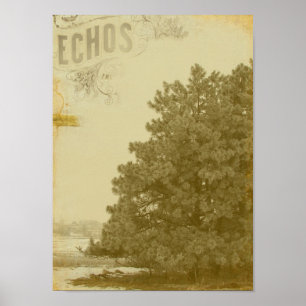 Winter Echos Poster