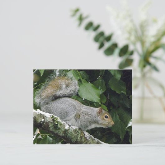 Winter-Eichhörnchen #2 Postkarte (Stehend Vorderseite)