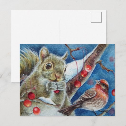 Winter Eichhörnchen Finca Bird Berries Postkarte (Vorne/Hinten)