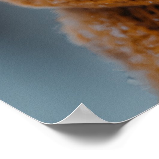 Winter Eichhörnchen-Poster Poster (Ecke)