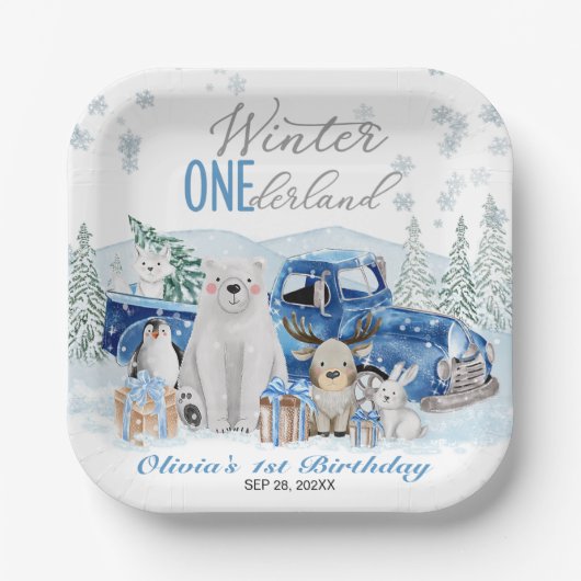 Winter Ein Nederland Arktischer Tier Junge 1. Gebu Pappteller (Vorderseite)