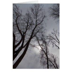 Winter-Einsamkeit