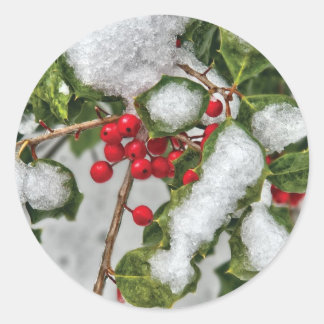 Winter - eisbeschichtet Holly Runder Aufkleber