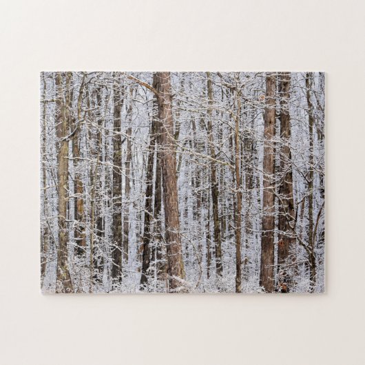 Winter-Eissturm im Wald - 11 x 14 Zoll Puzzle (Horizontal)