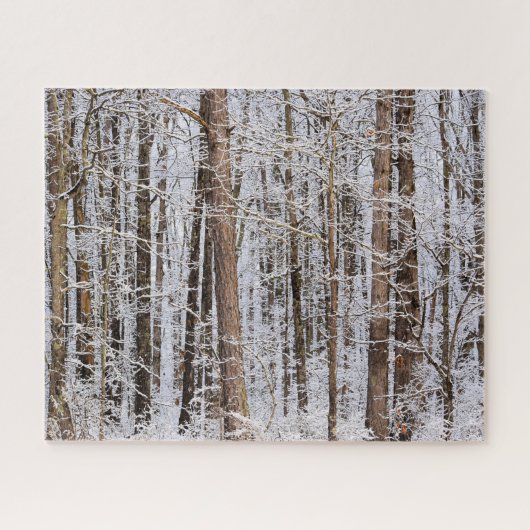 Winter-Eissturm im Wald - 16x20 Zoll Puzzle (Horizontal)