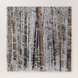 Winter-Eissturm im Wald - 20x20 Zoll Puzzle