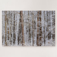 Winter-Eissturm im Wald - 20x30 Zoll