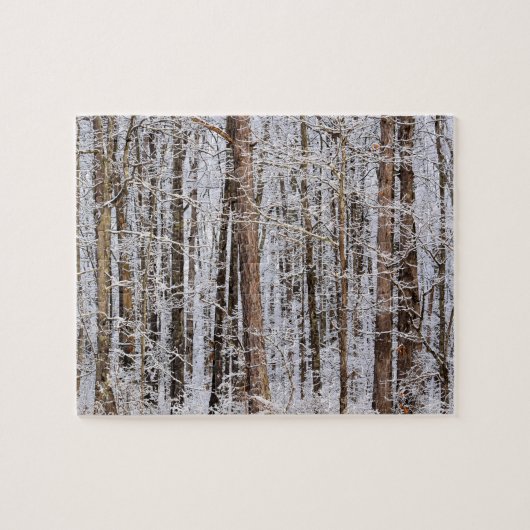Winter-Eissturm im Wald - 8 x 10 Zoll Puzzle (Horizontal)